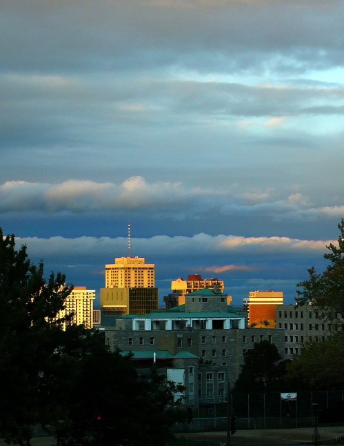 Weekly Photo Challenge: Saturated. Part II.